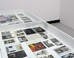 Iosif Kiraly, Ausstellungsansicht, WKV 2009