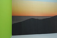 Space 11: Peggy Buth, wall paper (landcape), 2009
