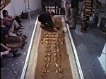 Paul Neagu, Cake man event, 1971