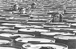 (10) Luis Pazos, Transformaciones de masas en vivo (Transformation lebendiger Massen), 1973