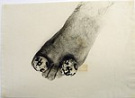 (7) Attila Csernik, Experimente, 1974, Courtesy: MAC-USP, São Paulo